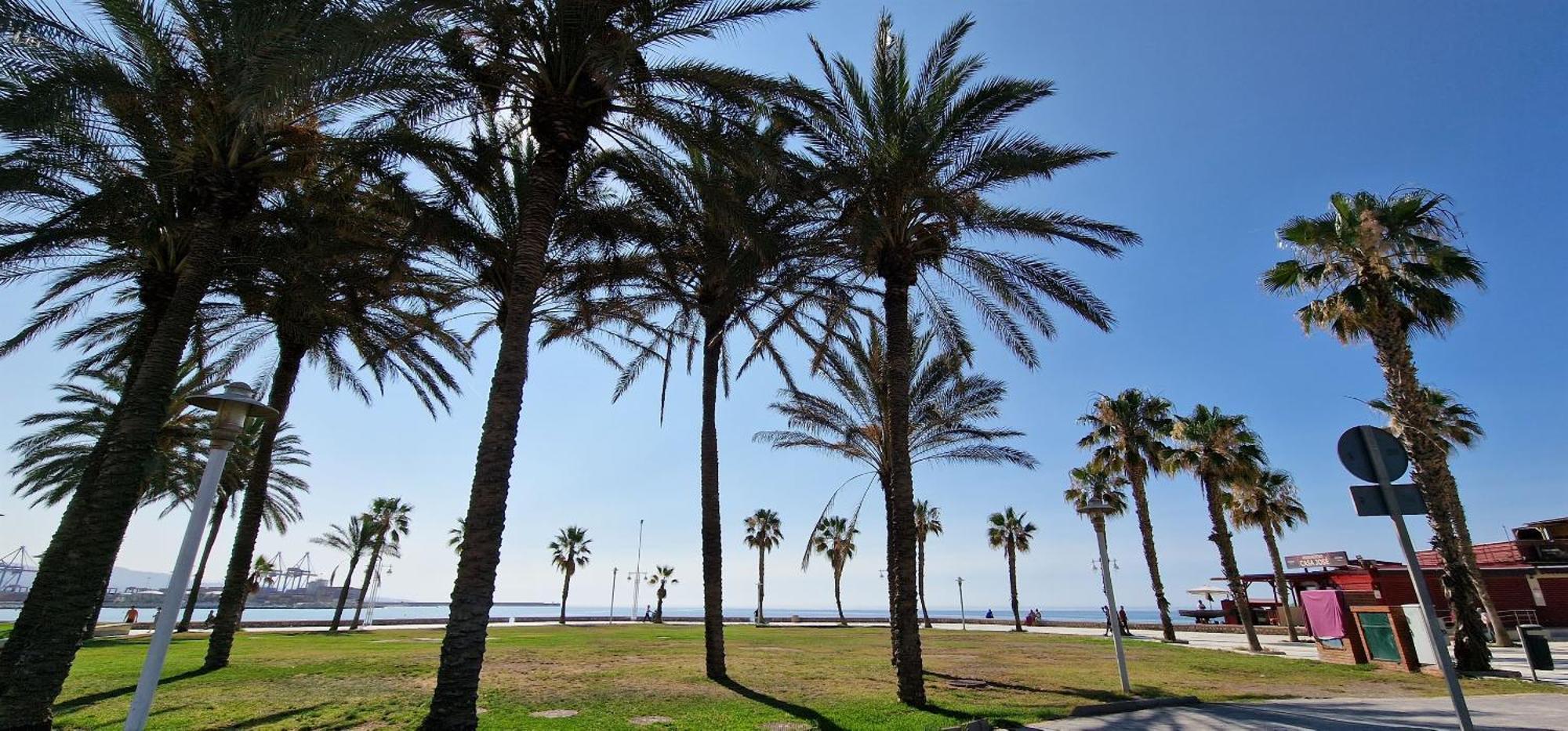 Paz Beach Málaga Extérieur photo